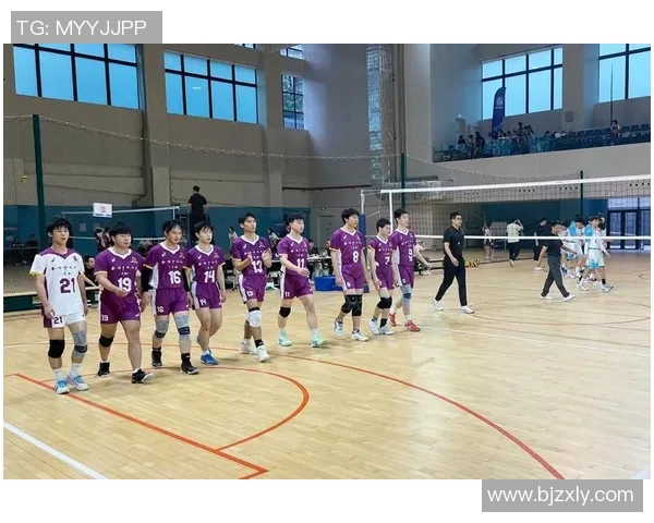 深圳排球队在排球节奏排名中创下新高引发广泛关注与热议